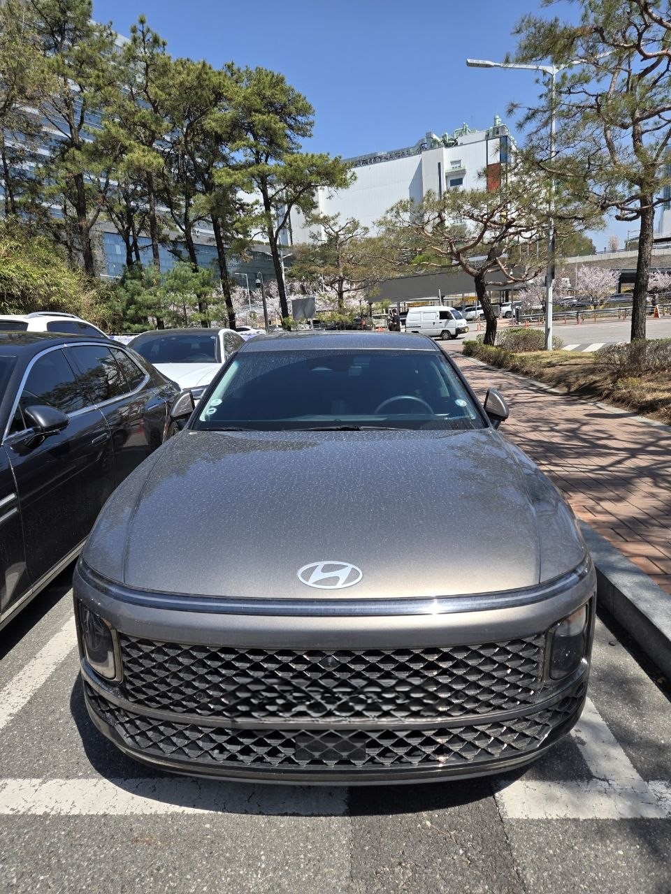 192e5a9b33266884ed9b3a5c53aa220f_1775539238_5275.jpg 192e5a9b33266884ed9b3a5c53aa220f_1775539238_5275.jpg