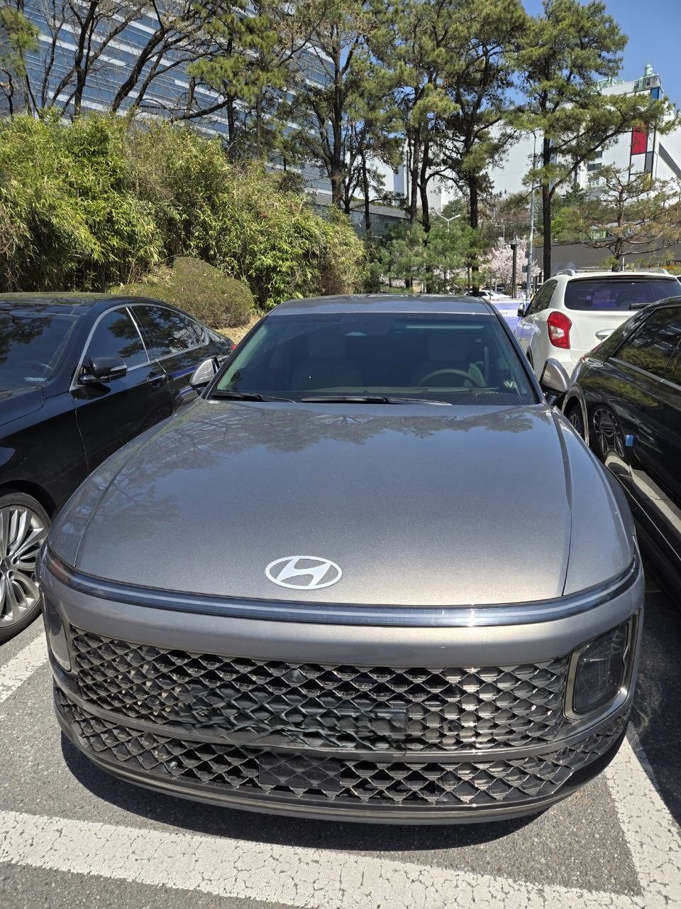 192e5a9b33266884ed9b3a5c53aa220f_1775539238_6239.jpg 192e5a9b33266884ed9b3a5c53aa220f_1775539238_6239.jpg