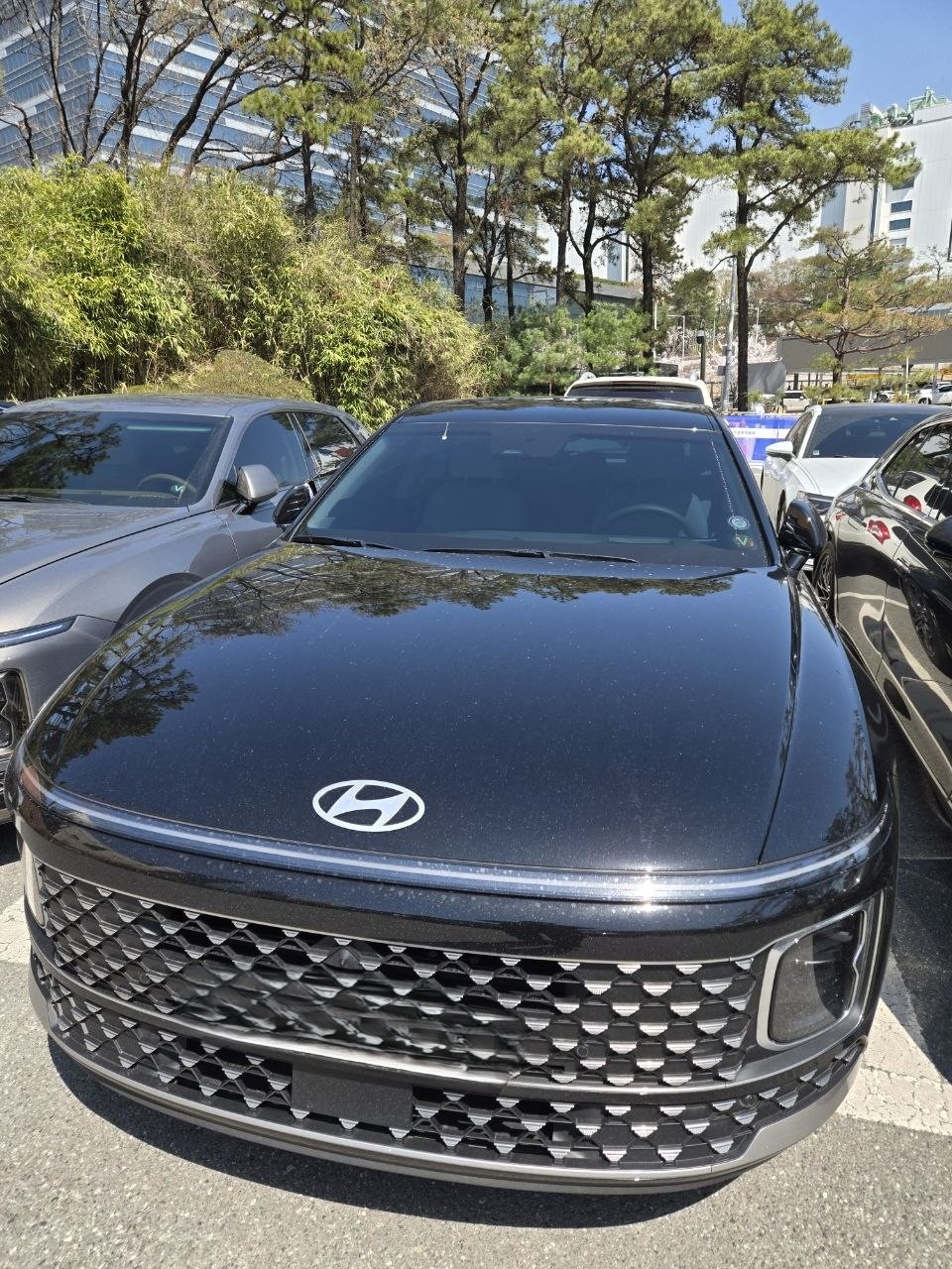 192e5a9b33266884ed9b3a5c53aa220f_1775539238_6715.jpg 192e5a9b33266884ed9b3a5c53aa220f_1775539238_6715.jpg