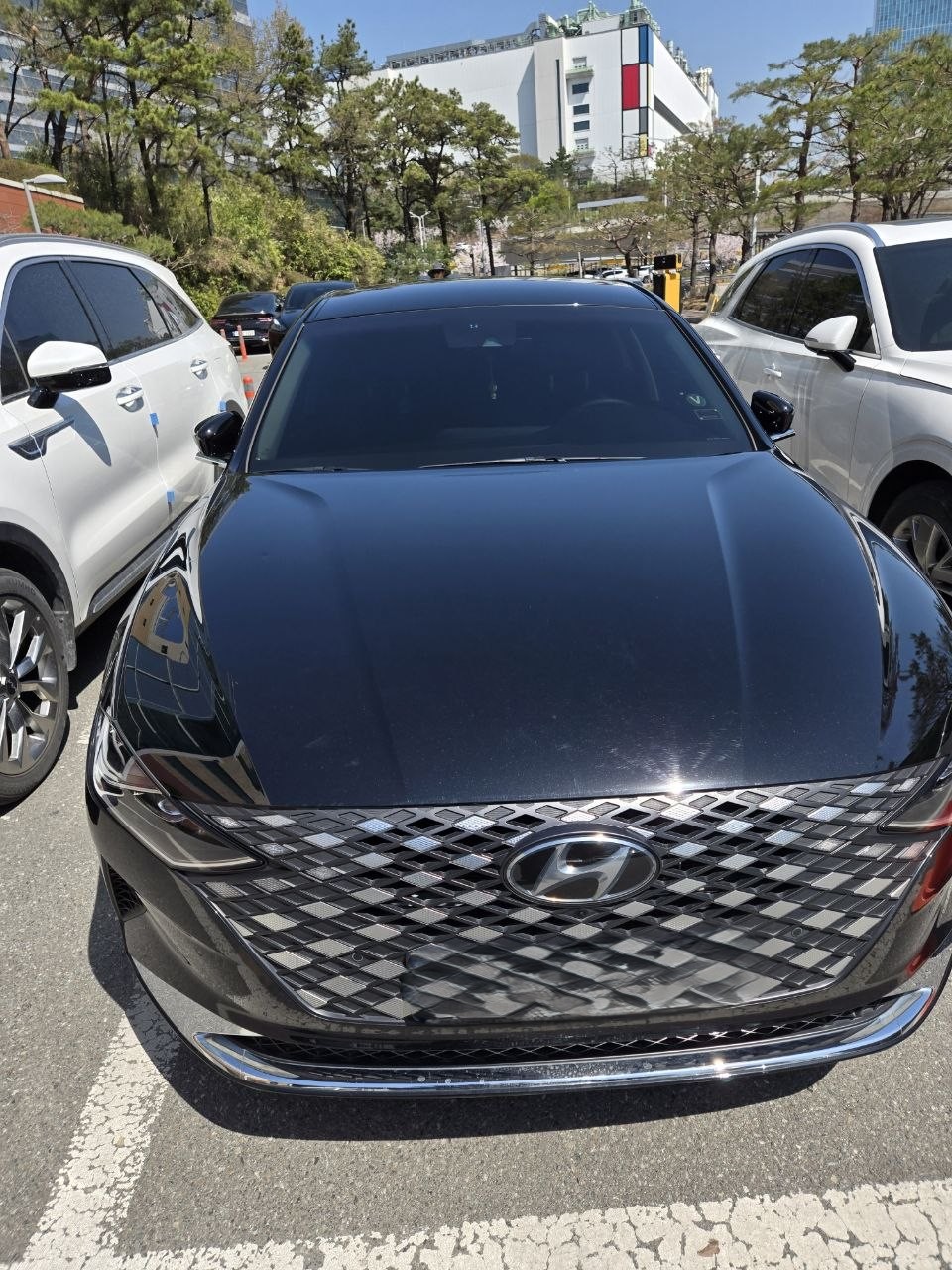 192e5a9b33266884ed9b3a5c53aa220f_1775539238_7133.jpg 192e5a9b33266884ed9b3a5c53aa220f_1775539238_7133.jpg